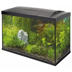 Aquario Superfish Start 70 Lt preto 58x30x45 Cm Superfish - 1040030119