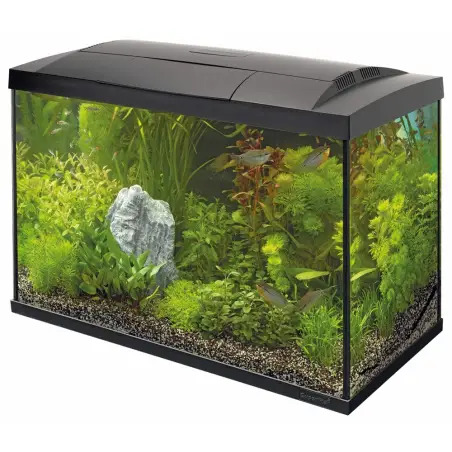 Aquario Superfish Start 70 Lt preto 58x30x45 Cm Superfish - 1040030119