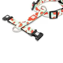 Peitoral "Watermelon" Max&Molly - XS #1 - 1040180514