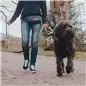 Max & Molly - Bolsa De Cintura "silver" Max&Molly Max & Molly - Bolsa De Cintura "silver" Max&Molly