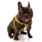 Peitoral Amarelo Snoopy