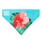 Max & Molly - Bandana "exotique" - S Max&Molly