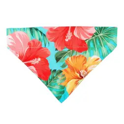 Max & Molly - Bandana "exotique" - S Max&Molly #1 - 1040240831