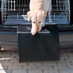 Protetor De Para-choques Trixie #3 - 1040220785