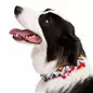 Laço Zig-Zag Snoopy