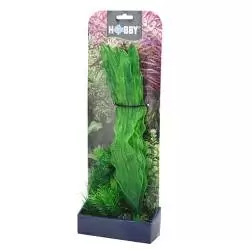 Plantas Set 1 kit 3 Plantas Hobby - 1040350267