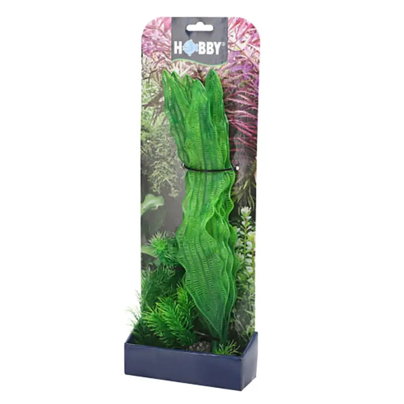 Plantas Set 1 kit 3 Plantas Hobby