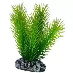 Plantas Set 1 kit 3 Plantas Hobby - 1040350267