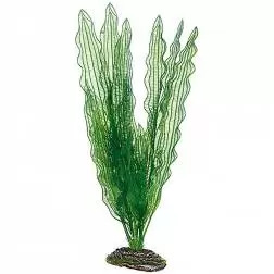 Plantas Set 1 kit 3 Plantas Hobby #2 - 1040350267