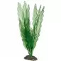 Plantas Set 1 kit 3 Plantas Hobby