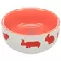 Gamela Em Ceramica C/ Motivos P/ Coelhos 250 Ml Trixie