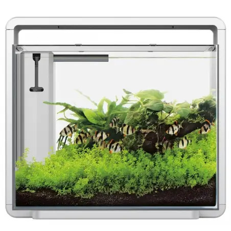 Aquario Design "home 45" 43x25x42,5 Cm 40 Lt Superfish - 1040030129