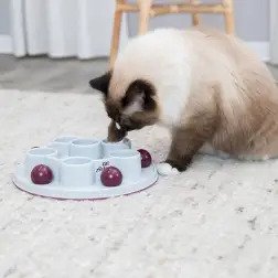 Cat Activity Pentagon Ø 28 Cm Trixie #1 - 1040061407