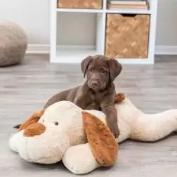 Cao Mascote Xxl Em Pelucia 75 Cm bege/castanho Trixie #3 - 1040061113