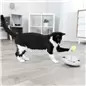 Junior Snack & Play Ø 18 Cm Trixie