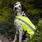 Colete Segurança Reflector  Tam. Xs - 30 Cm amarelo Trixie