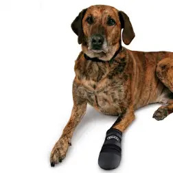 Walker - Botas Em Neoprene Pretas para Cães - S #1 - 1040240438