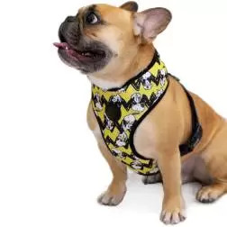 Colete Peitoral Snoopy amarelo/c.b. - Tam. Xs Snoopy - 1040180397