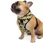 Colete Peitoral Snoopy amarelo/c.b. - Tam. Xs Snoopy