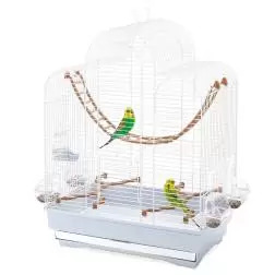 Gaiola Fiona Imac - 1040140119