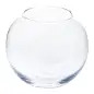 Aquário Globo em Vidro sem Gola 5lt OrniEx