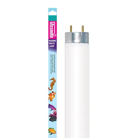 Lampada Fluor. Marine White 36w-120cm T8 Arcadia - 1040100507