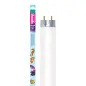 Lampada Fluor. Marine White 36w-120cm T8 Arcadia