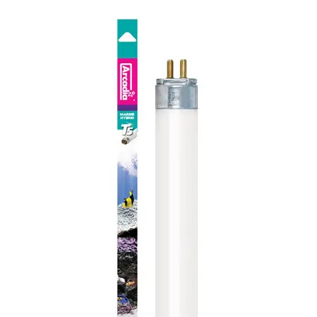 Lampada Fluor. T5 - Marine Hybrid 24w-55 Cm Arcadia - 1040100508