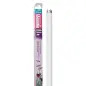 Lampada Fluor. Original Tropical 6w-22,5cm T5 Arcadia