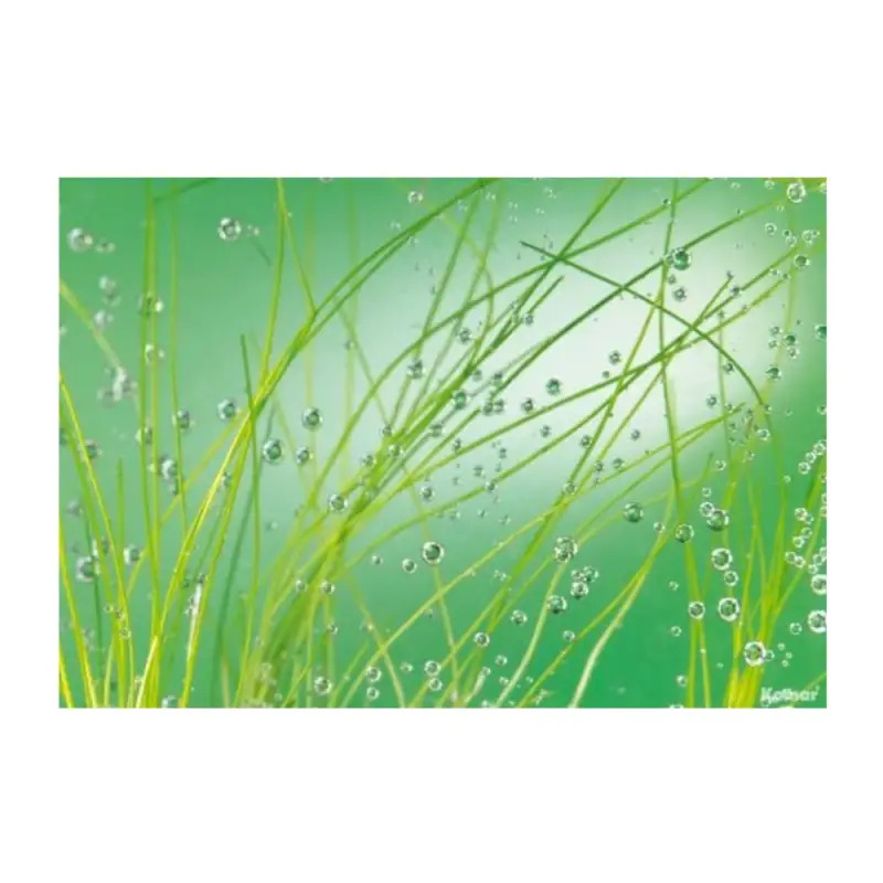 Poster para Parede Aqua 368x254cm Komar