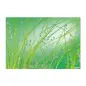 Poster para Parede Aqua 368x254cm Komar