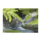 Poster para Parede Along The River 184x127cm Komar