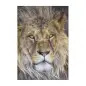 Poster para Parede Lion 127x184cm Komar