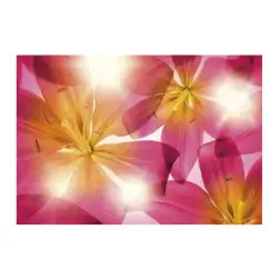 Poster para Parede Summer Sun 368x254cm Komar - 1160480049
