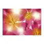 Poster para Parede Summer Sun 368x254cm Komar