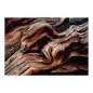 Poster para Parede Old Giant 368x254cm Komar