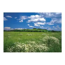 Poster para Parede Meadow 368x254cm Komar - 1160480004