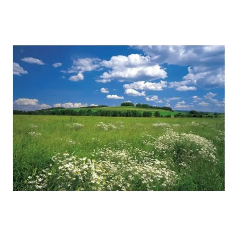 Poster para Parede Meadow 368x254cm Komar