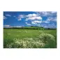 Poster para Parede Meadow 368x254cm Komar