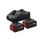 2 ProCORE18Vplus 8,0 Ah+GAL18V-160+caixa