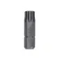 Pontas Impact T40 25 mm 25 peças 2607002802 Bosch Pontas Impact T40 25 mm 25 peças 2607002802 Bosch
