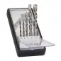 Conjunto de brocas para betão Robust Line, 5 unidades, CYL-3, 4 - 10 mm 2607010524 Bosch Conjunto de brocas para betão Robust Line, 5 unidades, CYL-3, 4 - 10 mm 2607010524 Bosch