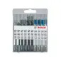 Conjunto de 10 lâminas de serra vertical Basic for Metal and Wood 2607010630 Bosch Conjunto de 10 lâminas de serra vertical Basic for Metal and Wood 2607010630 Bosch