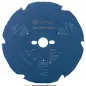 EX FC B 250x30-6 2608644349 Bosch EX FC B 250x30-6 2608644349 Bosch