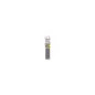 Brocas para martelo SDS plus-3 . 8 x 100 x 160 mm 2608831116 Bosch Brocas para martelo SDS plus-3 . 8 x 100 x 160 mm 2608831116 Bosch