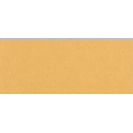 EXPERT C470: 93 x 230mm. S/P. G100 x10u - 1220683256