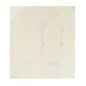Rede de lixa EXPERT M480, 115 x 107 mm, G 240, 10 unidades 2608901693 Bosch Rede de lixa EXPERT M480, 115 x 107 mm, G 240, 10 unidades 2608901693 Bosch