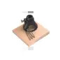 Kit de corte multifunções DREMEL® 26150565JB Dremel Kit de corte multifunções DREMEL® 26150565JB Dremel