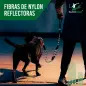 Slingdog - Trela C/ Lançador E Bola 2 Em 1 Diversas