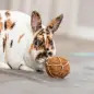 Bola De Fibras De Coco E Algas Ø 6 Cm Trixie